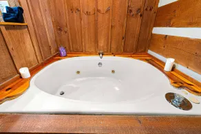 Porch Swing, Jacuzzi Tub, Wi-Fi, Dogs ok, near NP - Image 5