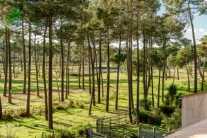 Aroeira - Sea & Golf Apartment - Image 5