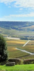 House with private parking - Hautvillers - Image 5