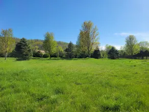 Whitetail Bluff - Image 2