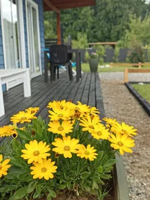 Beautiful and cozy cabin in Panguipulli - Image 2