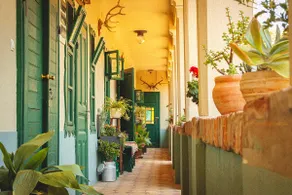 Biljkin Oca's Country House in Baranja - Image 2