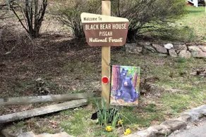 Black Bear House on Blueberries Hill - Image 3