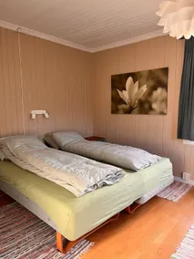 Cozy, small house in the heart of Telemark - Image 4