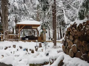3 Bedroom - Healing Pine House - Image 2