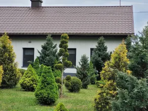 Gęsia Sielanka - Image 3