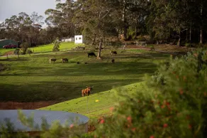 Karri Chalet | Stunning views & spa, pet friendly - Image 4