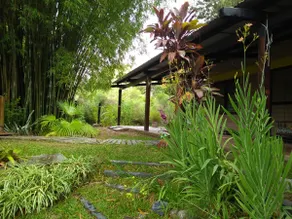 Sen de campo: experience nature - Image 4