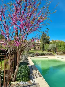 Beautiful house full of character near Lourmarin - Image 3