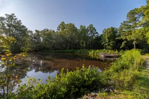 The Fishing Shack - Stunning Pondfront Retreat - Image 4