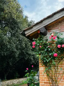 Podere Scorno Country House - Image 2