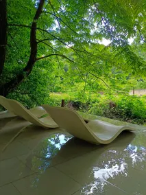 Forest house - Image 5