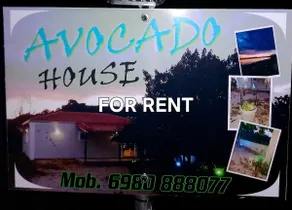 Avocado house - Image 5
