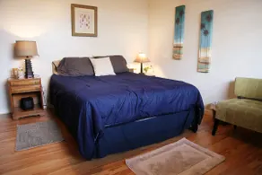 Private guest suite with its own entrance - Image 2