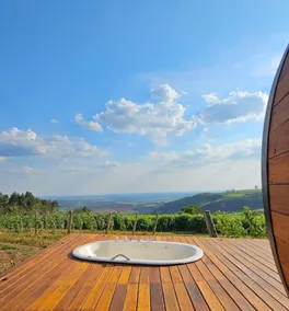 Accommodation in a wine barrel at a winery - Image 2