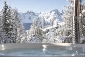 Ciasa Iachin - Dolomites Dream Retreat - Image 5