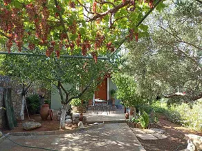 Martha's Home in Fourni Village Crete - Image 4