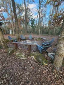 Treehouse near the Santa Fe & Ichetucknee River - Image 2
