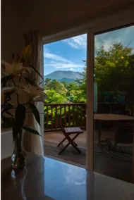 Mt. Asama & Alps Views｜Sunroom BBQ - Image 3