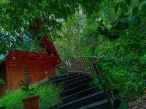 Wooden House - Image 4