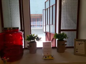 Beautiful Apartment 107 Downtown Puebla - Image 3