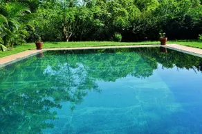 La Vie en Rose Auroville, Villa with Garden Pool - Image 3