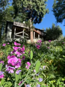 *An Acre of Nature* Central A/C, Close to Lakes - Image 4