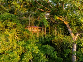 Ocean View + Jungle Immersion | Chalet + Yurt - Image 5
