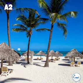 A2 Apartment on the beach in Los Corales, Punta Cana - Image 2