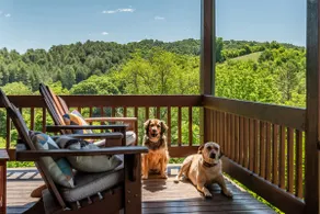 Pet Friendly NC Cabin with Beautiful Views and Hot Tub near West Jefferson. - Image 2