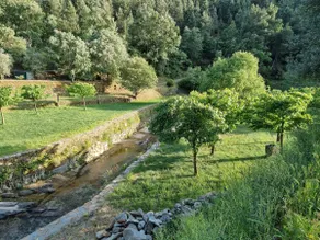 Casa da Avó Ana - Peroviseu - Serra da Gardunha - Serra da Estrela - Image 5