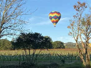 An Italian Villa in the heart of Napa Valley! - Image 4