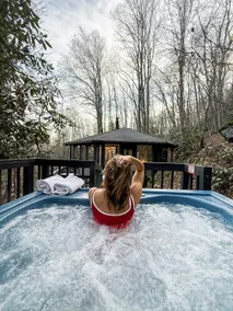 Glass Treehouse: waterfalls, boulders, hot tub - Image 4