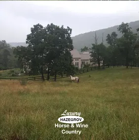Hazegrov in Virginia Horse and Wine Country - Image 2