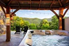 Bearloga:Hot Tub, Sauna, Stunning Views, 75 acres - Image 3