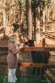 Tiny Cabin in the Woods with Hot Tub & Alpaca Rescue - Image 3
