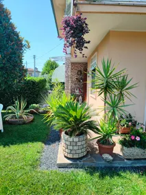 Delightful Apartment Tourist Rental - Image 3