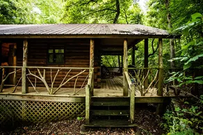Bear Hollow near the Buffalo River - Image 3