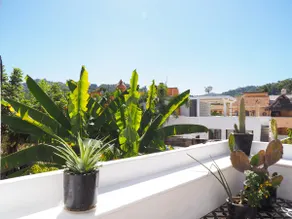 Casa Xolo: Tropical Villa - Image 5