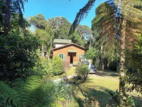 cozy cabin in the middle of nature - Image 2