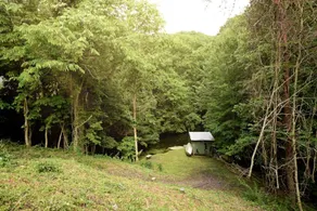 Ronnie's Place - Image 2