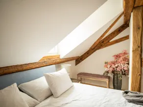 Modern old building apartment in Bern incl. pool and sauna - Image 5