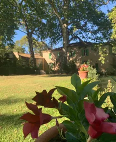Traditional Provençal farmhouse with pool - Image 2
