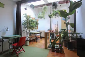 GREEN HOUSE apartment in old town - Image 3