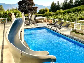 Year-Round Heated Pool, Hot Tub, Private Vineyard, Lake Views - Image 2