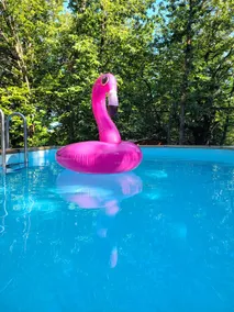 Unusual holidays romantic pink red caravans - Image 2