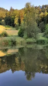 RELAX Chalet – Nature Retreat – Secluded Paradise - Image 5