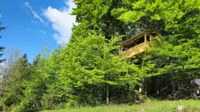 Apartments Matovina - Image 2