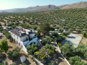 Cortijillo Agroturismo Ecologico, Central Andalucia - Image 3