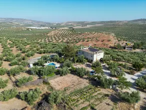 Cortijillo Agroturismo Ecologico, Central Andalucia - Image 5
